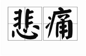 悲痛 悲痛