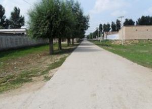 大西頭西村 大西頭西村