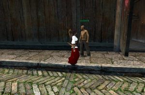 保衛村莊活動 保衛村莊活動