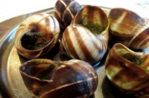 降脂清香煮蝸牛 降脂清香煮蝸牛