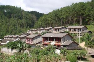 勐楞自然村 勐楞自然村