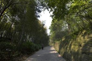 雨台山社區 雨台山社區