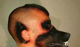 狗頭人[巴西整容男子]