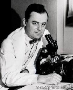 弗雷德里克·查普曼·羅賓斯 弗雷德里克·查普曼·羅賓斯