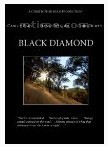 《黑鑽》(2009)