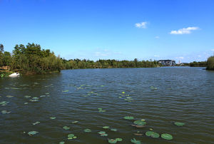 豐阜濕地公園 豐阜濕地公園