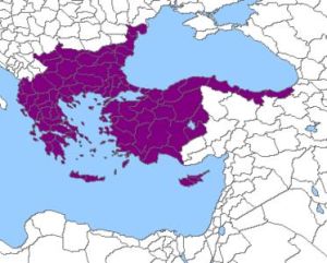 帕里奧洛加斯王朝 帕里奧洛加斯王朝