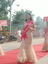 造甲村[廣東省湛江市麻章區太平鎮造甲村]