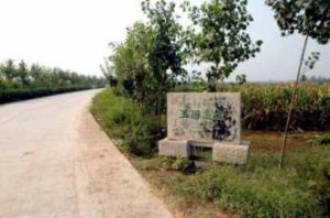 王因遺址 王因遺址