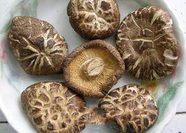 大別山花菇 大別山花菇