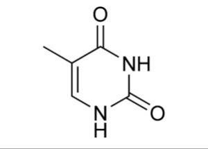 胸腺嘧啶 胸腺嘧啶