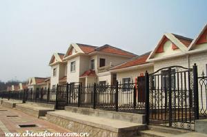 萬寶川農場災後重建職工住宅一角