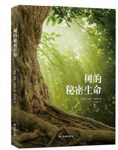 樹的秘密生命 樹的秘密生命