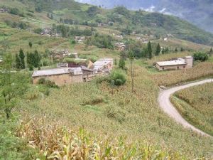 小瓦廠自然村 小瓦廠自然村