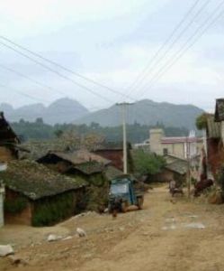 陶家坡村 陶家坡村