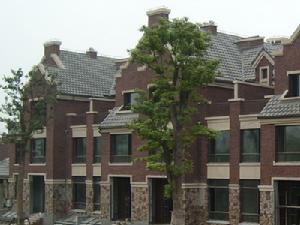 肖王廟村 肖王廟村