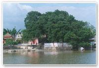 石丘頭村 石丘頭村