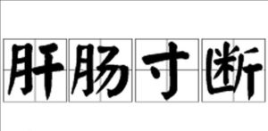 肝腸寸斷 肝腸寸斷