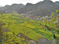 糯土刀村 糯土刀村