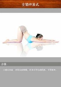 貓伸展式 貓伸展式