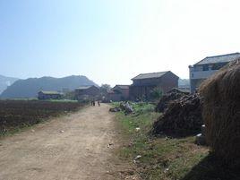 橫山一村 橫山一村