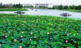 蕪湖陶辛水韻景區 蕪湖陶辛水韻景區