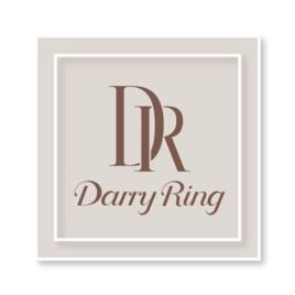 DR戒指 DR戒指