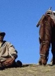 莫哇帕洛 莫哇帕洛