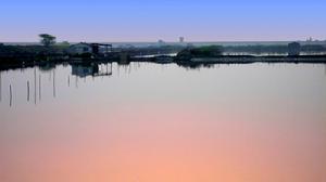 位於翁垟街道的樂清灣灘涂