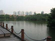 華僑城純水岸一二期