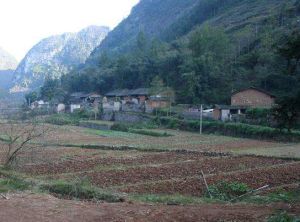 水井自然村 水井自然村