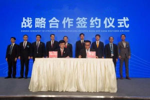 戰略合作夥伴關係