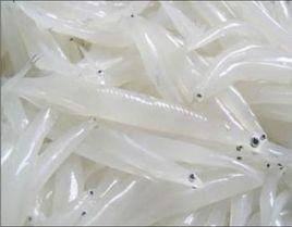 巢湖三珍 巢湖三珍