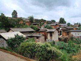 老闆田村 老闆田村