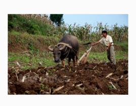 耕作土壤 耕作土壤