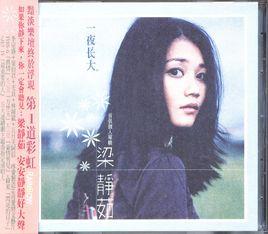 一夜長大[梁靜茹演唱歌曲]
