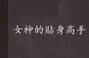 女神的貼身高手[連載於天下書盟網的都市類小說]