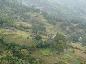 新良自然村 新良自然村