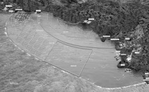 藻型湖泊 藻型湖泊