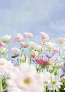 相交最後相離 相交最後相離