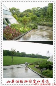 濟州觀光植物園