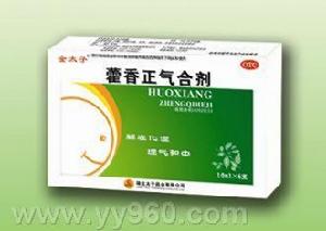 霍香正氣合劑