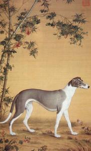 清郎世寧竹蔭西猊狗圖 清郎世寧竹蔭西猊狗圖