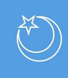 第一東突厥斯坦共和國 第一東突厥斯坦共和國