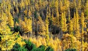 織女山生態風景區