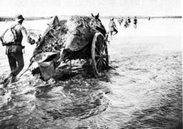 進軍大別山 進軍大別山