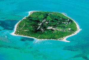 國際海洋公園 國際海洋公園