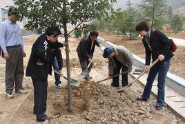 植樹人病毒 植樹人病毒