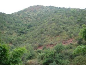 連井坪村 連井坪村