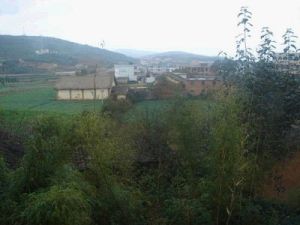 小牛井節自然村